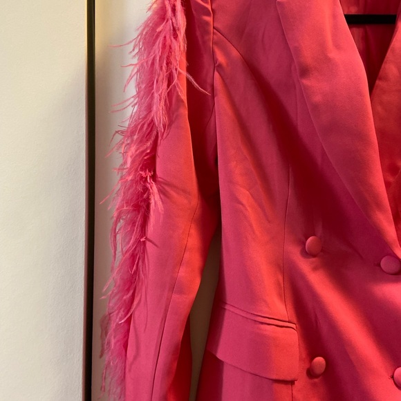 Nasty Gal Pink Feathered Blazer Dress - Picture 4 of 5